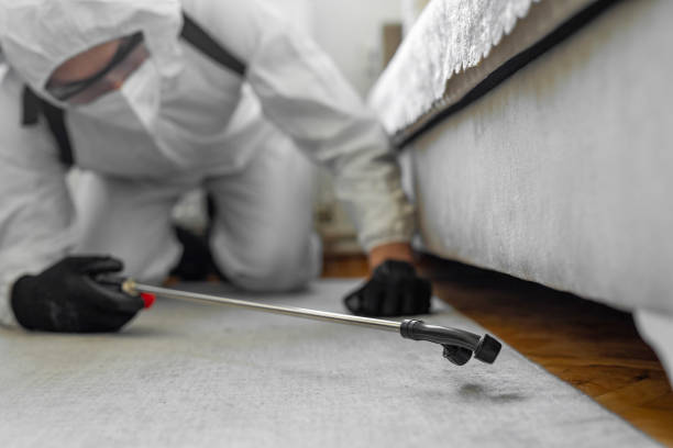 Professional Cockroach Control technician working in Graham County County, AZ